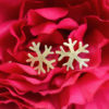 Silver snow Flake stud