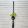 black plant hanger | Home Decor Macrame plant hanger