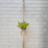 white plant hanger | Home Decor Macrame plant hanger