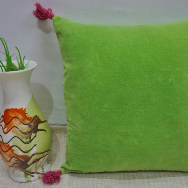 Velvet Cushion Cover with Tassels | Bright Shade Cushion Cover